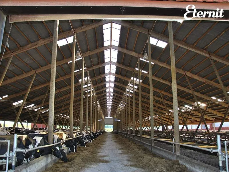 Eternit Klasika viļņplāksne 1250×1130 mm, 8 viļņi